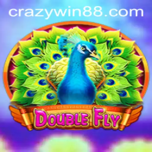 DoubleFly: A New Gaming Sensation with a Twist of CRAZYWIN